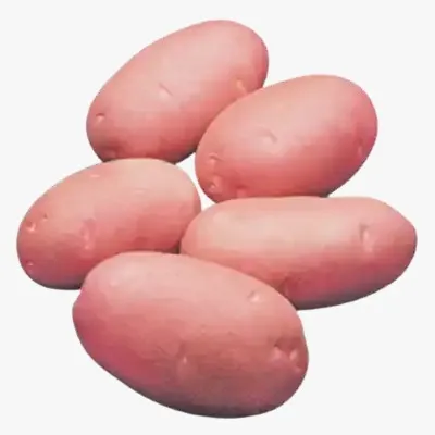 Potato Regular (± 50 gm) (Copy) (Copy)