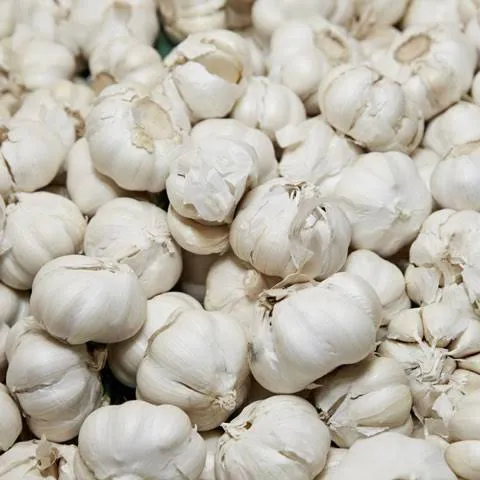 Local Garlic  (± 10 gm) (Copy)